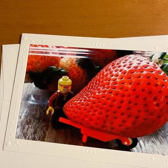 Other - Set of 5 assorted cards